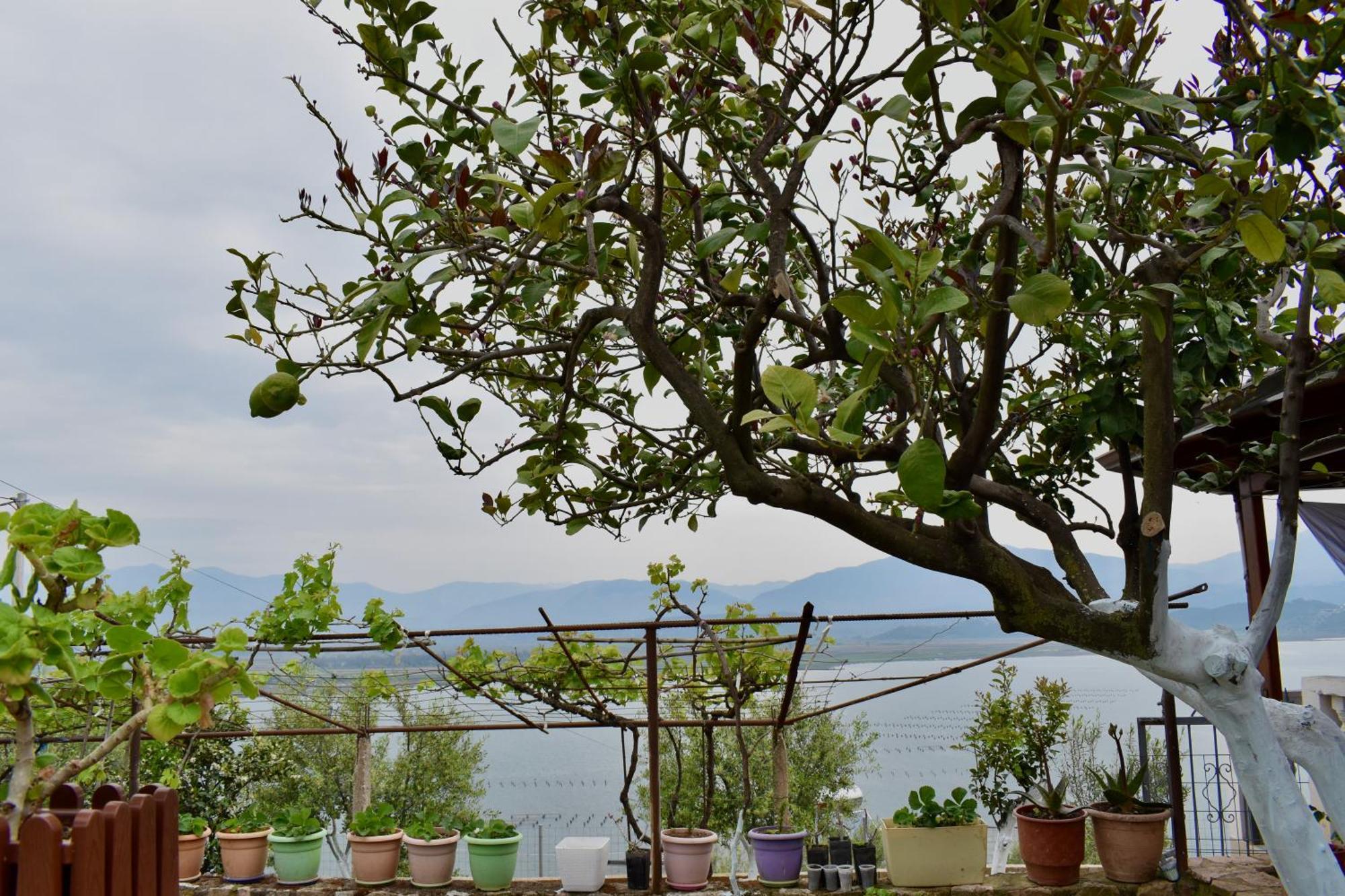 Ksamil Sea&Lake View Escape Zewnętrze zdjęcie